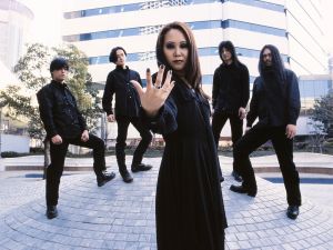 Shadow Band 300